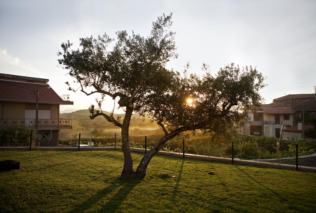 Casas De Vale De Lobo Villa Mirandela Exteriör bild